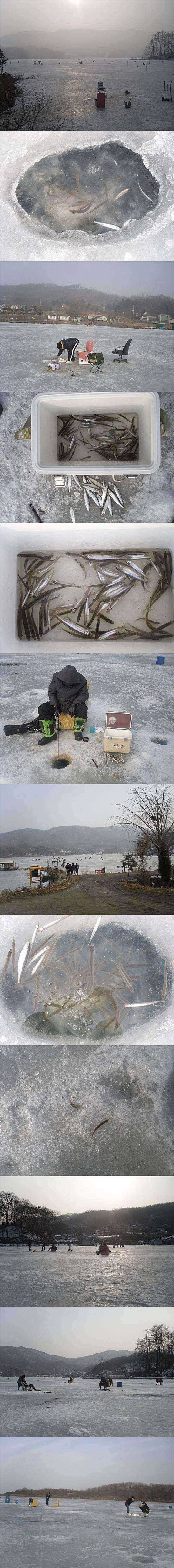 두창지 빙질상태와 빙어조황 (조황조행기 - 특파원조황)