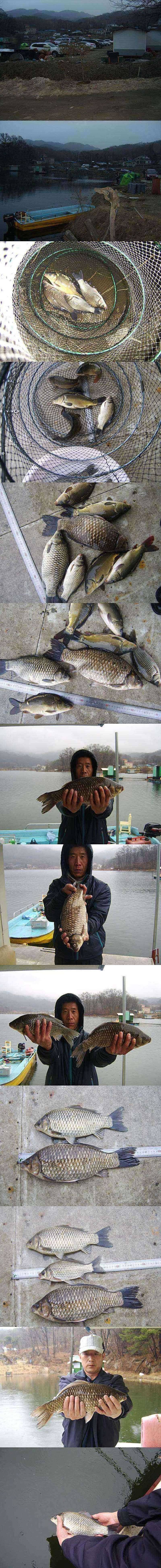 두창지4짜의 모습 (조황조행기 - 특파원조황)