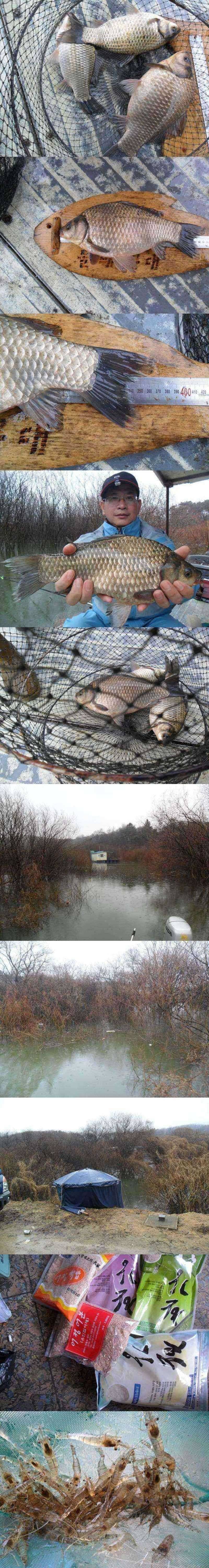 고삼지 토종 대물의 모습 (조황조행기 - 특파원조황)
