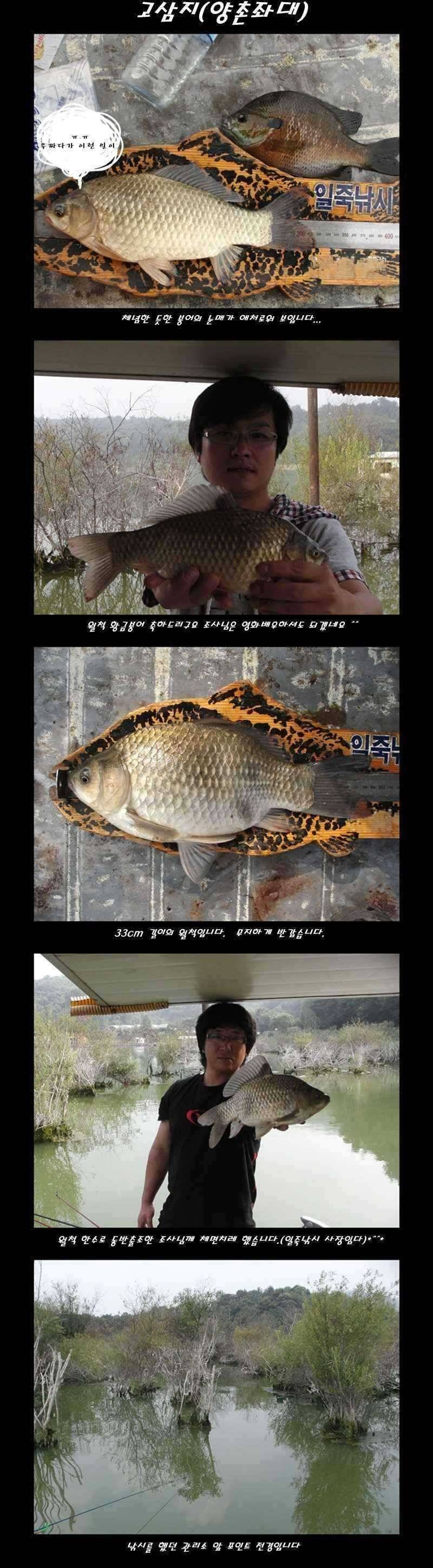 일죽권 조황입니다고삼지 (조황조행기 - 특파원조황)