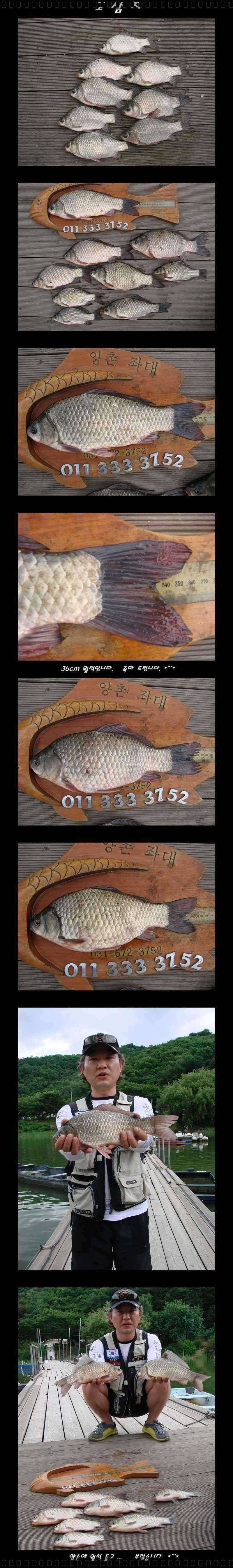 일죽 조황입니다고삼지 (조황조행기 - 특파원조황)