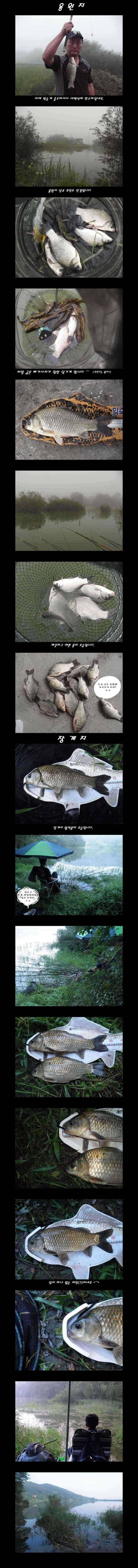 일죽권 조황입니다장계지용원지 (조황조행기 - 특파원조황)