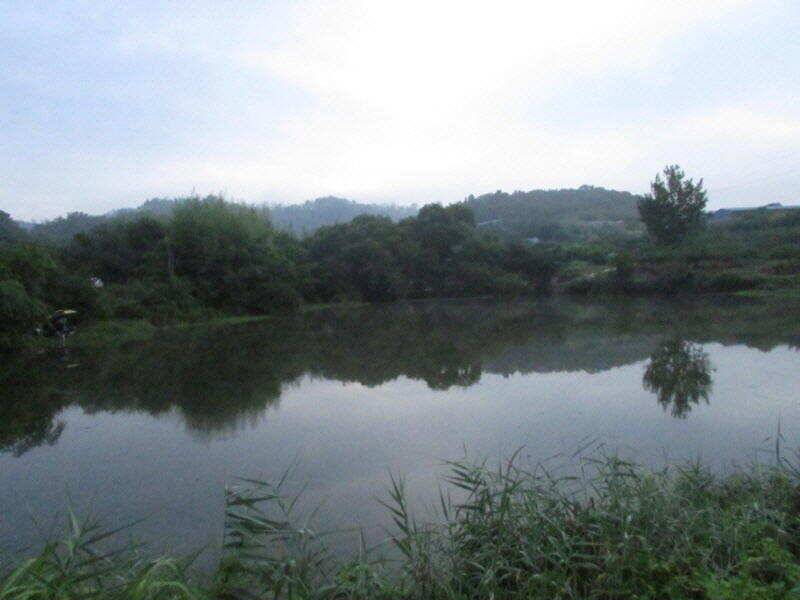8월 마지막주 조황입니다 (조황조행기 - 특파원조황)
