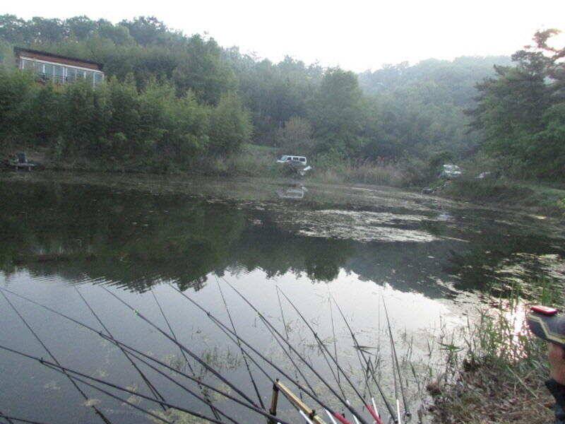 5월 2주차 조황 입니다 (조황조행기 - 특파원조황)