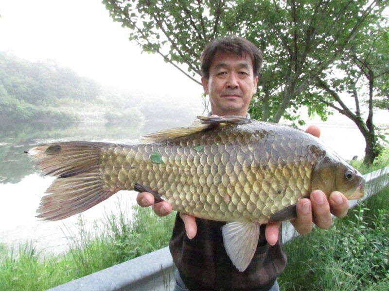 5월 4째주 조황입니다 (조황조행기 - 특파원조황)