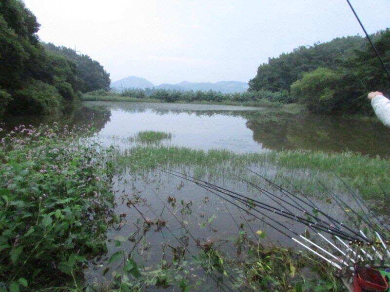 8월 마지막주 조황입니다 (조황조행기 - 특파원조황)