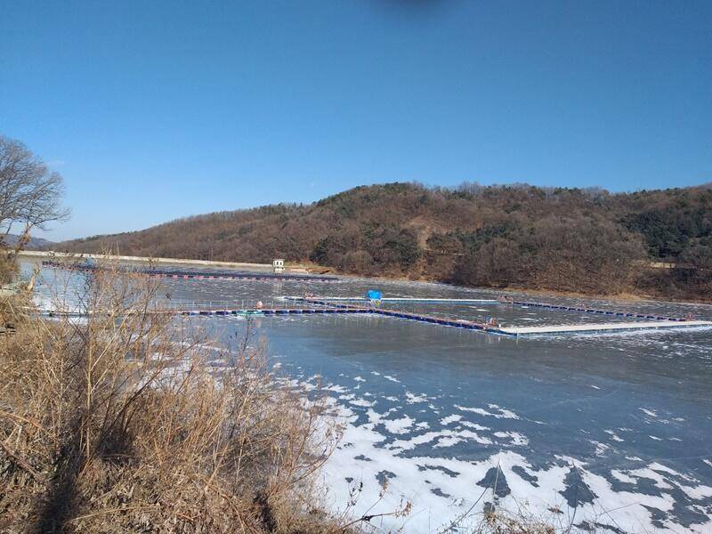 씨알 좋은 빙어들장계지 (조황조행기 - 특파원조황)