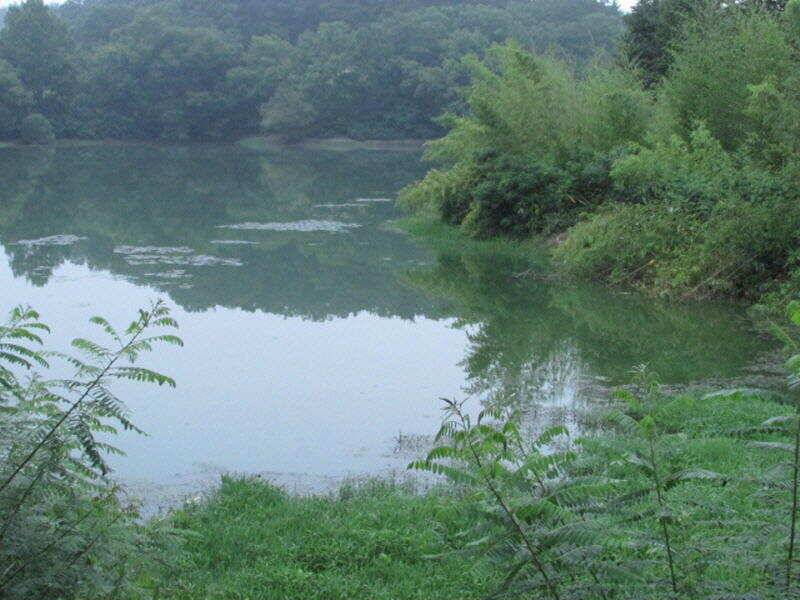 7월 3주차 조황입니다 (조황조행기 - 특파원조황)