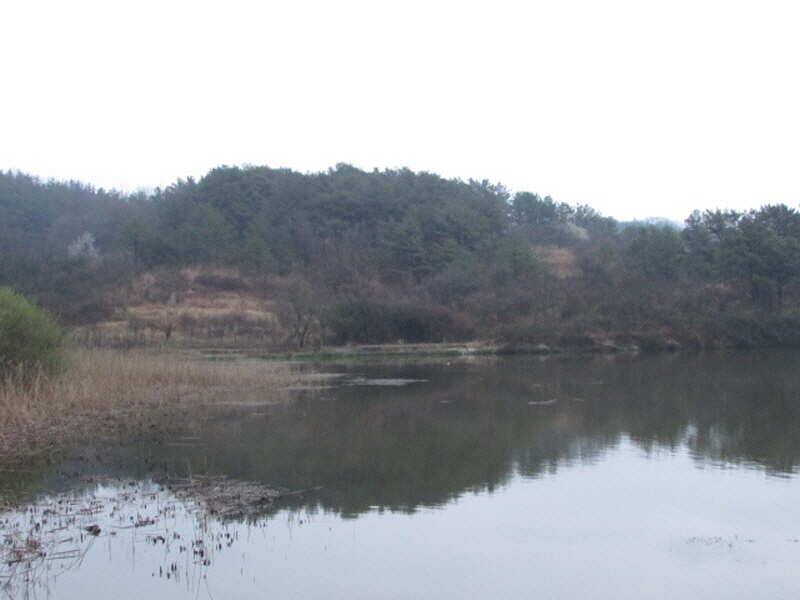 4월첫째주조황입니다 (조황조행기 - 특파원조황)