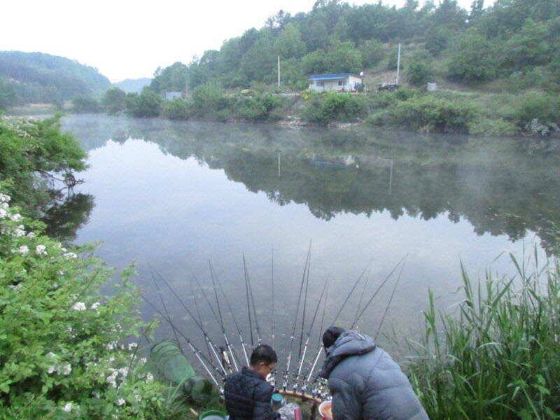 5월 마지막주 조황소식입니다 (조황조행기 - 특파원조황)