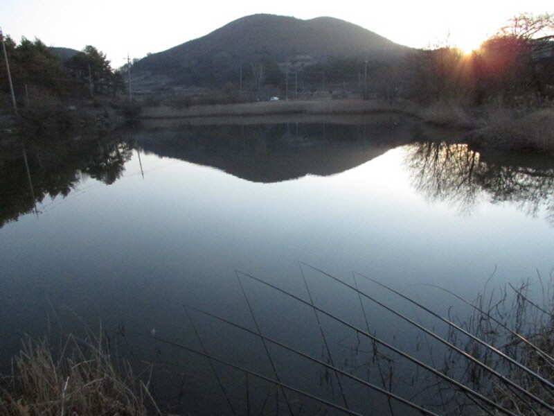 3월 4째주 조황입니다 (조황조행기 - 특파원조황)