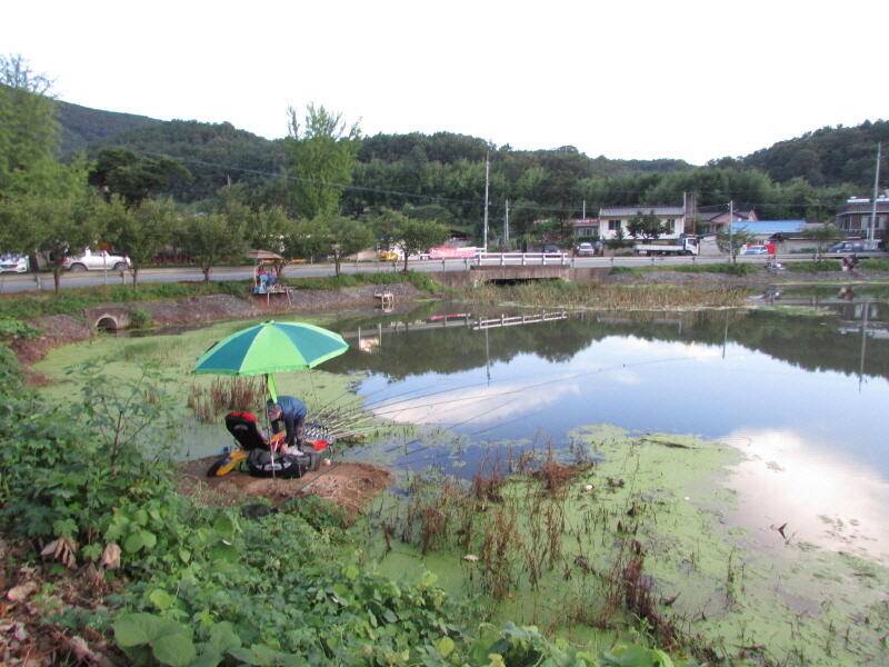 4주차 조황입니다 (조황조행기 - 특파원조황)