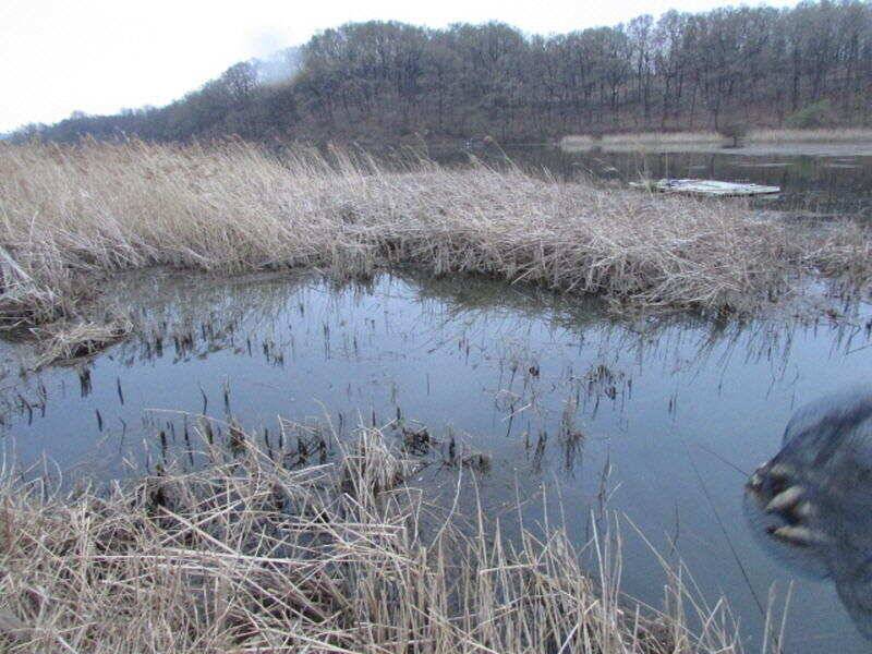 4월 2째주 조황입니다 (조황조행기 - 특파원조황)