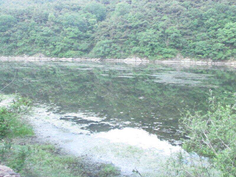 5월 마지막주 조황소식입니다 (조황조행기 - 특파원조황)