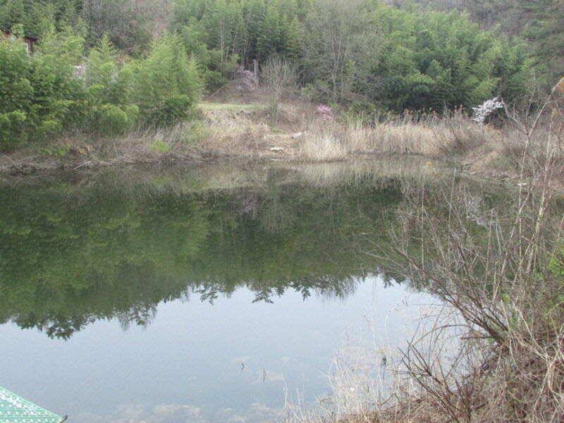 4월 2째주 조황입니다 (조황조행기 - 특파원조황)