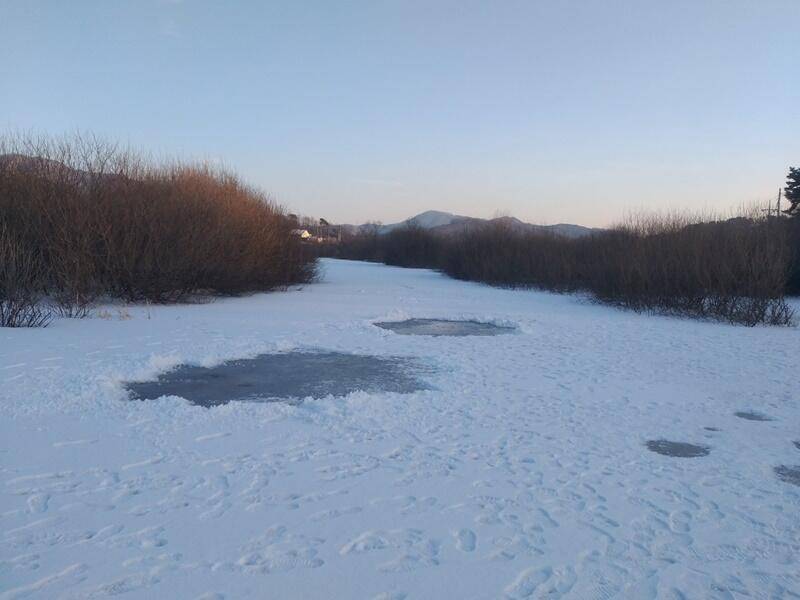 고삼지 소식 (조황조행기 - 특파원조황)