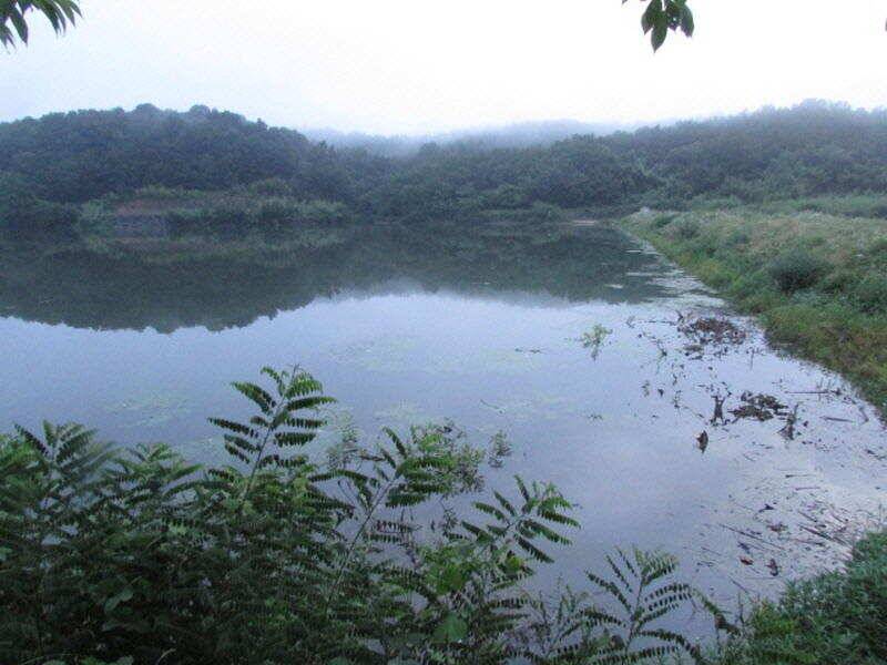 7월 첫주 조황입니다 (조황조행기 - 특파원조황)
