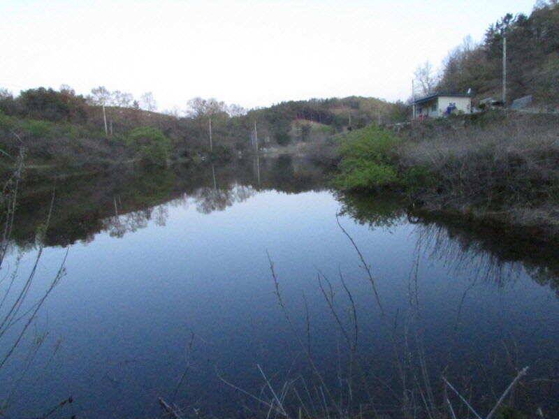 5월 첫주 조황 소식입니다 (조황조행기 - 특파원조황)