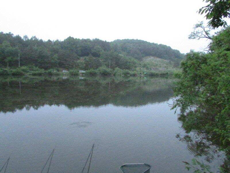 5월 4째주 조황입니다 (조황조행기 - 특파원조황)