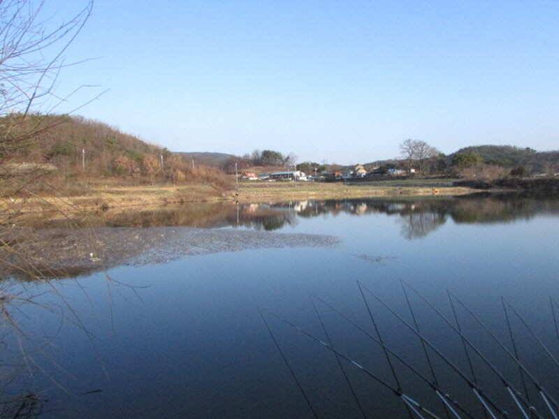 3월 4째주 조황입니다 (조황조행기 - 특파원조황)
