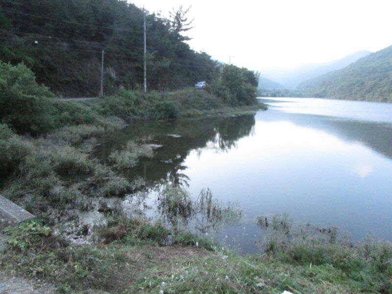 10월 첫주 조황입니다 (조황조행기 - 특파원조황)