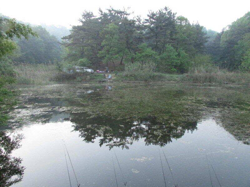 5월 2주차 조황 입니다 (조황조행기 - 특파원조황)