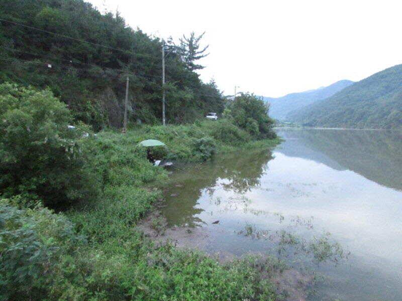 8월 마지막주 조황입니다 (조황조행기 - 특파원조황)