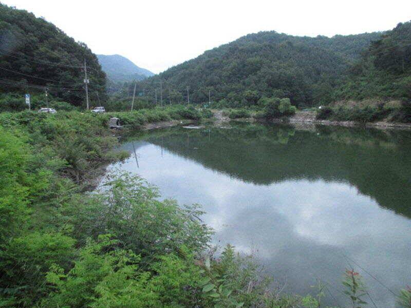 7월 2주차 조황입니다 (조황조행기 - 특파원조황)