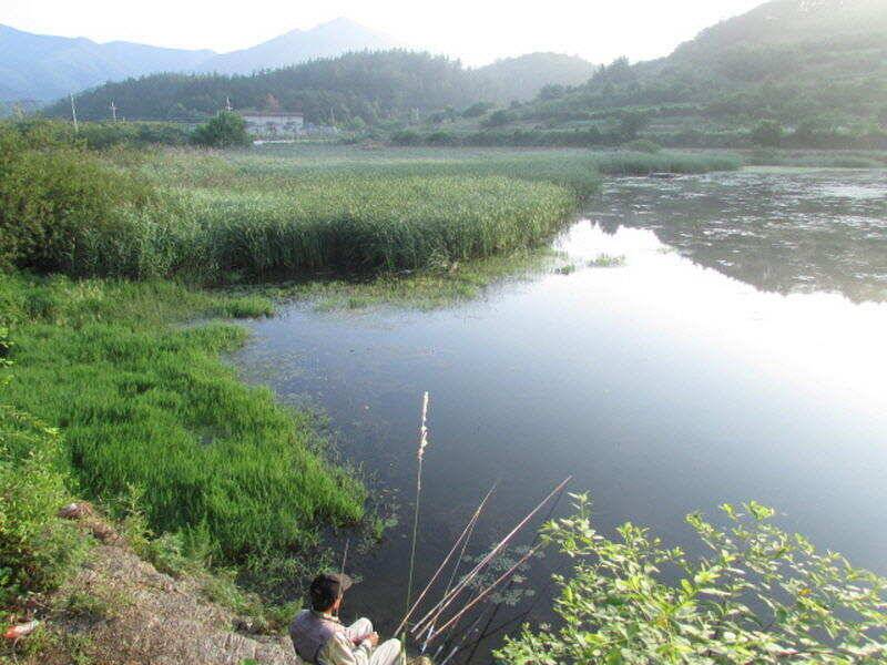 6월 4째주 조황입니다 (조황조행기 - 특파원조황)