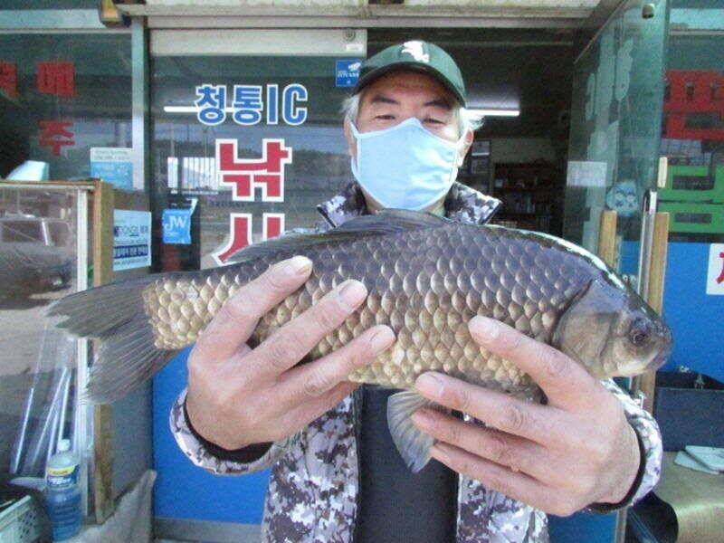 5월 첫주 조황 소식입니다 (조황조행기 - 특파원조황)