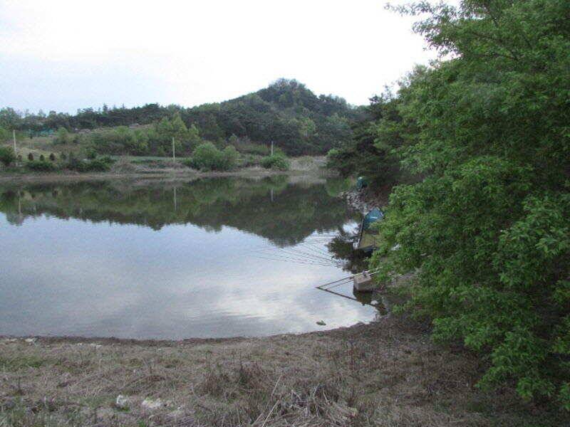 5월 첫주 조황 입니다 (조황조행기 - 특파원조황)