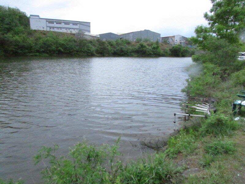 5월 3째주 조황입니다 (조황조행기 - 특파원조황)