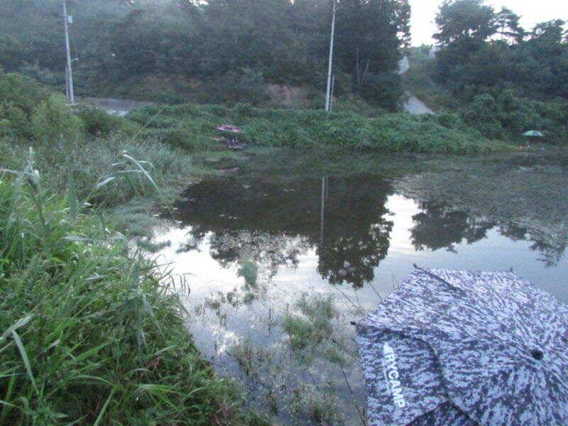 9월 첫째주 조황입니다 (조황조행기 - 특파원조황)