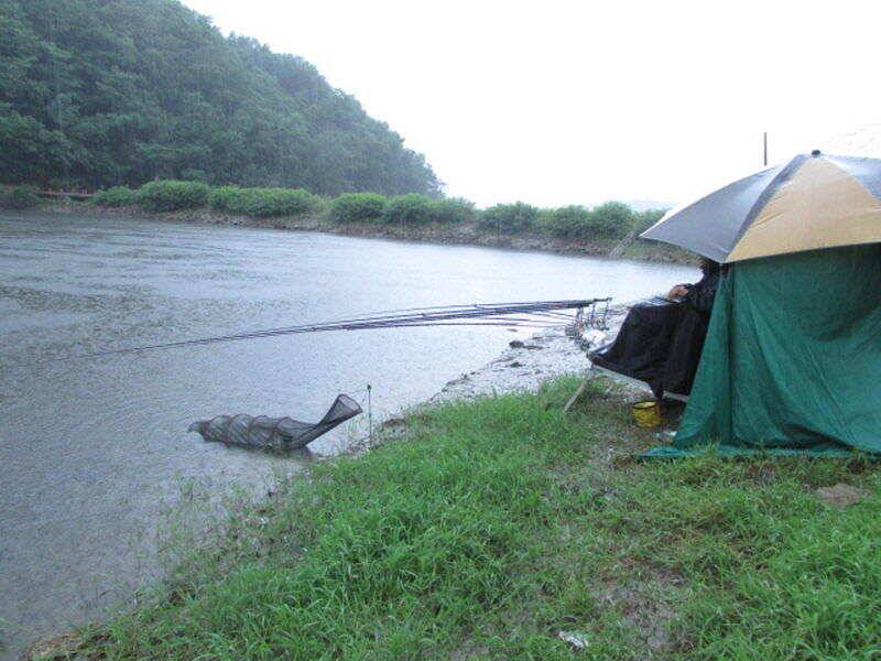 6월 3째주 조황입니다 (조황조행기 - 특파원조황)