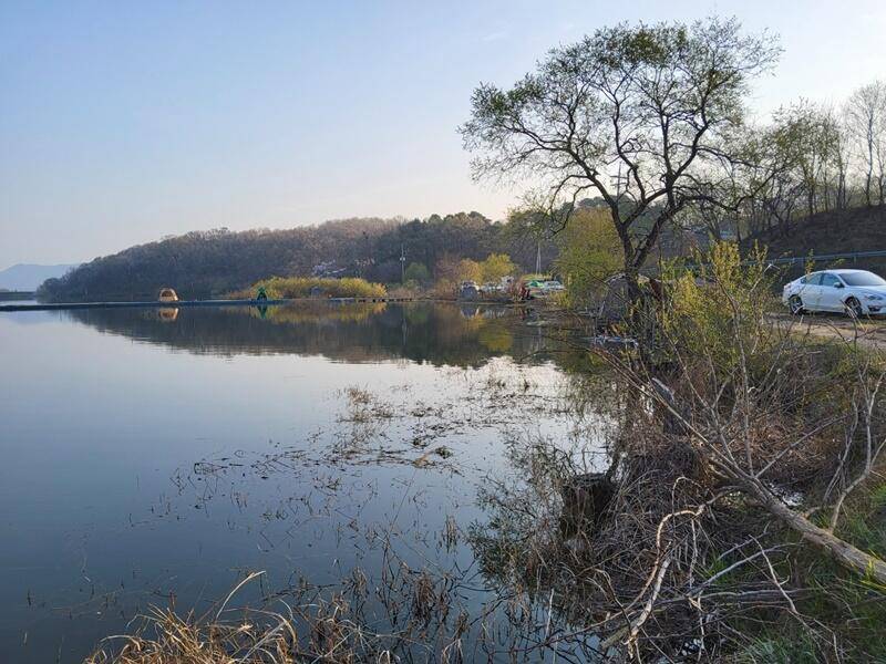 초보님들께 강추두창지 (조황조행기 - 특파원조황)