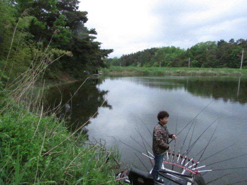 5월 3째주 조황입니다 (조황조행기 - 특파원조황)