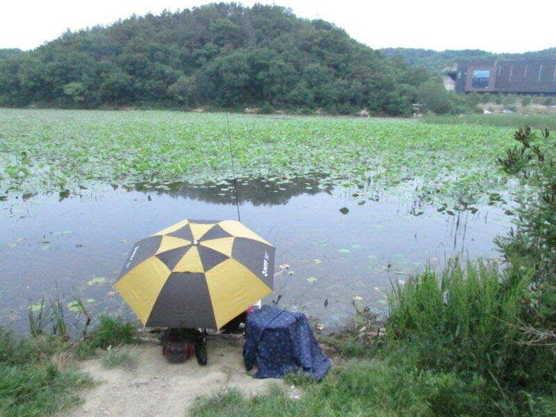 6월 첫주조황 입니다 (조황조행기 - 특파원조황)