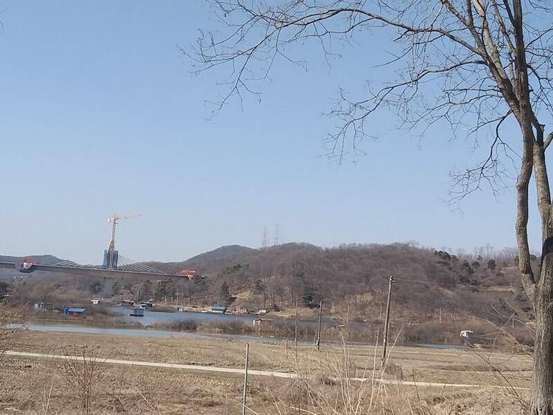 고삼지붕어들이 움직입니다 (조황조행기 - 특파원조황)