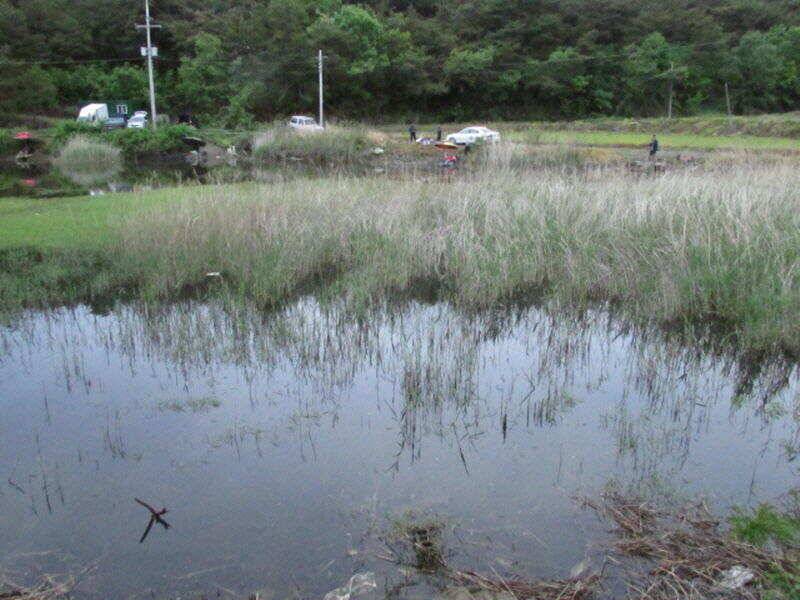 5월 3째주 조황입니다 (조황조행기 - 특파원조황)