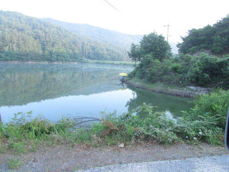 6월 4째주 조황입니다 (조황조행기 - 특파원조황)