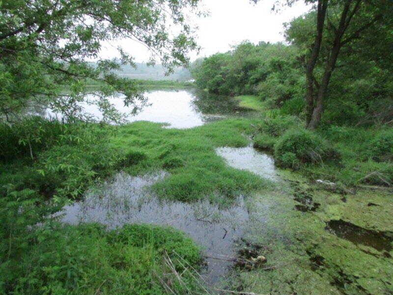5월 4째주 조황입니다 (조황조행기 - 특파원조황)