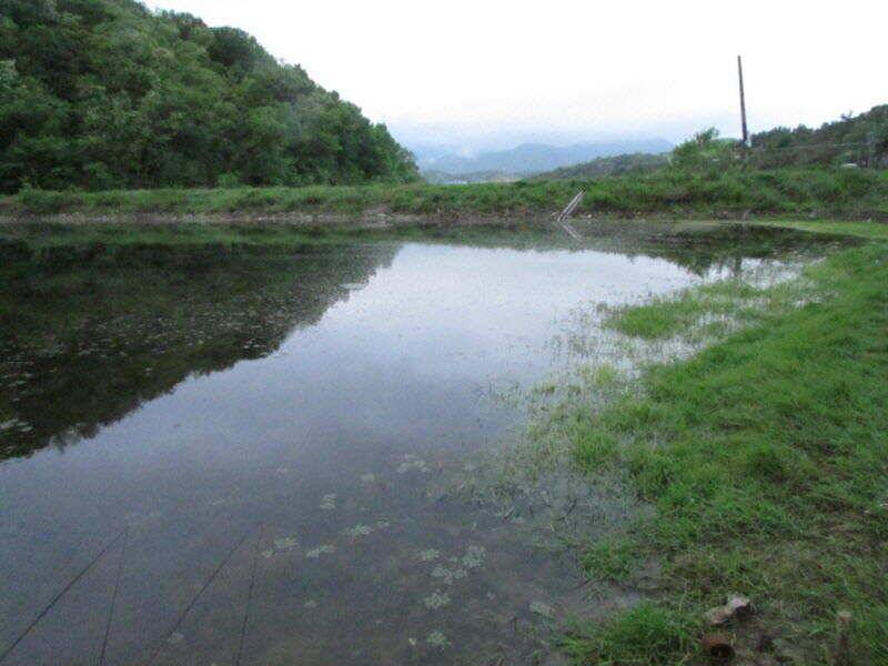 5월 3째주 조황입니다 (조황조행기 - 특파원조황)