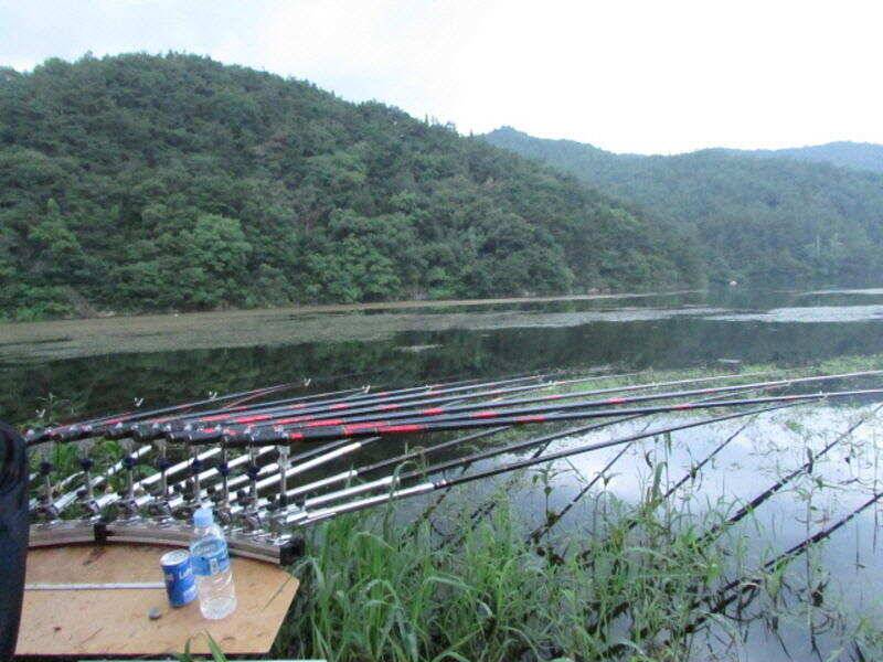 8월 2주차 조황 입니다 (조황조행기 - 특파원조황)