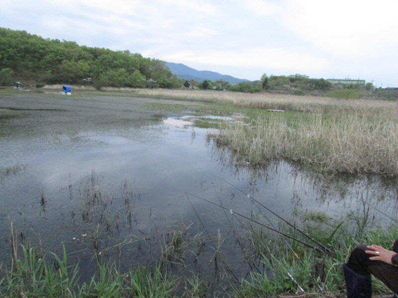 5월 첫주 조황 입니다 (조황조행기 - 특파원조황)