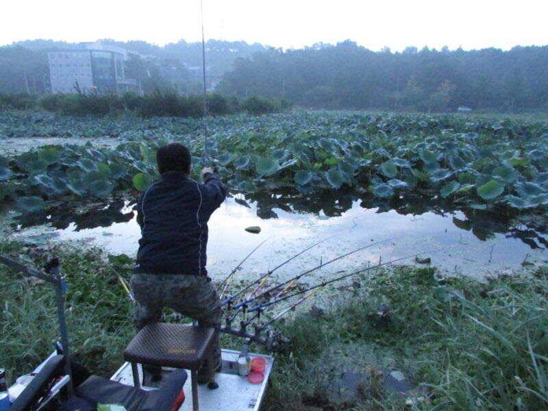 9월 첫째주 조황입니다 (조황조행기 - 특파원조황)