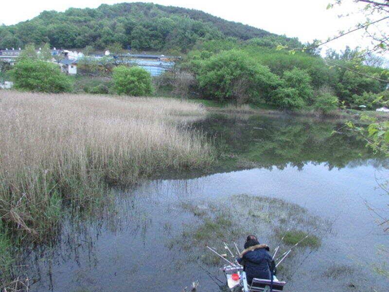 5월 첫주 조황 입니다 (조황조행기 - 특파원조황)