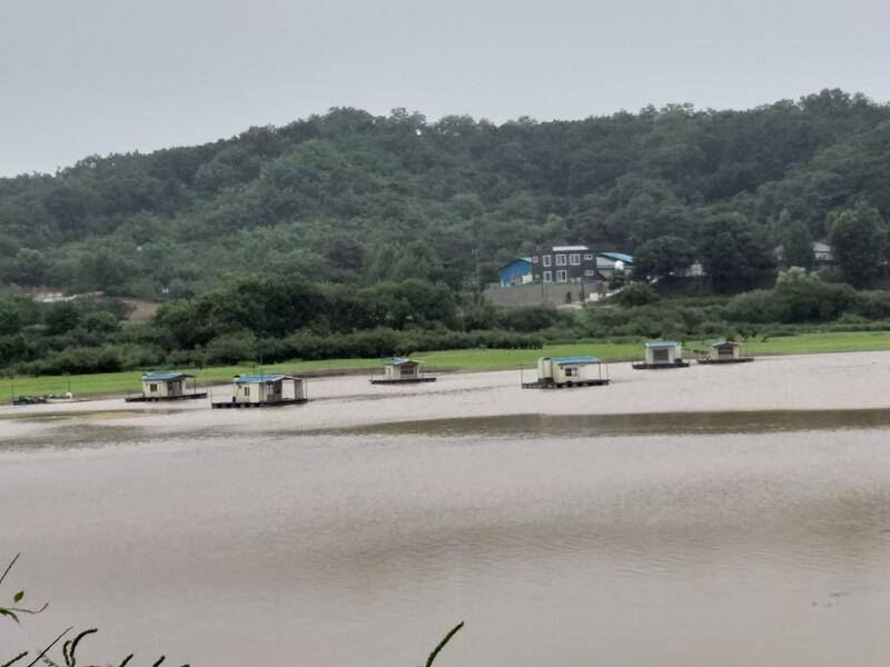 비 내리는 고삼지 (조황조행기 - 특파원조황)