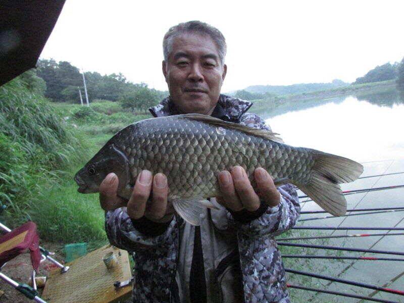 7월 첫주 조황입니다 (조황조행기 - 특파원조황)