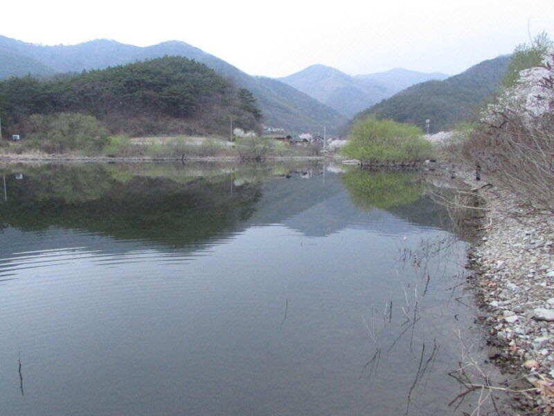 4월 2째주 조황입니다 (조황조행기 - 특파원조황)