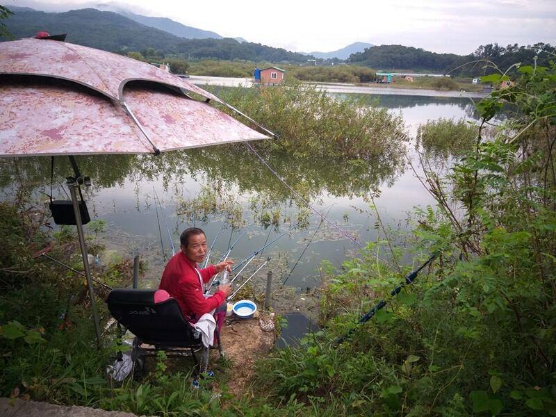 고삼지 노지터지고 또 터지고 (조황조행기 - 특파원조황)